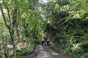 Photo 35- click for photo gallery